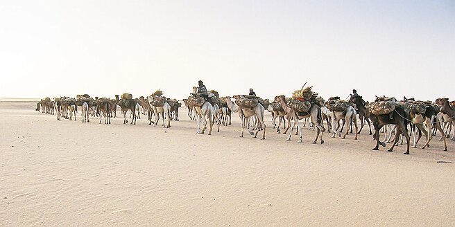 Échelle IMG_1537-2 Firefly Upscaler 2xb null