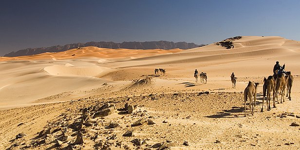 Sahara L'espace désert qui s'étend souvent autour de la ville porte mille noms en arabe. Celui qui a reçu le plus de prolongements émotifs, comme le plus connu, est...