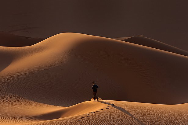 Dans les dunes