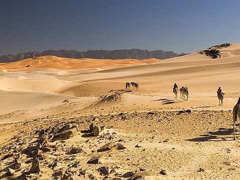 Nomades du Sahara La conquête du vide ou la nécessité d’être nomade Le Désert : les horizons sont infinis, les dunes déferlent sur les...