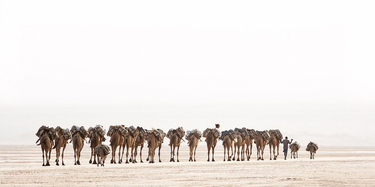 Nomades du Sahara La conquête du vide ou la nécessité d’être nomade Le Désert : les horizons sont infinis, les dunes déferlent sur les...