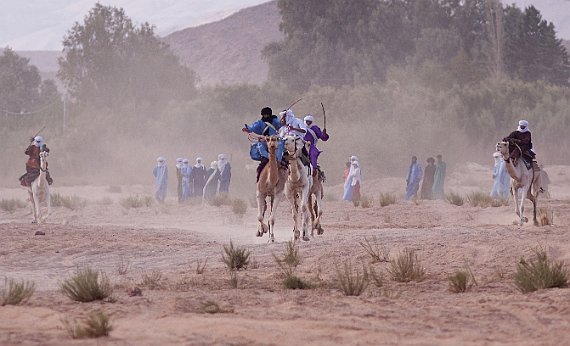 tazrouk-02 La fête commence par la traditionnelle course de chameaux.