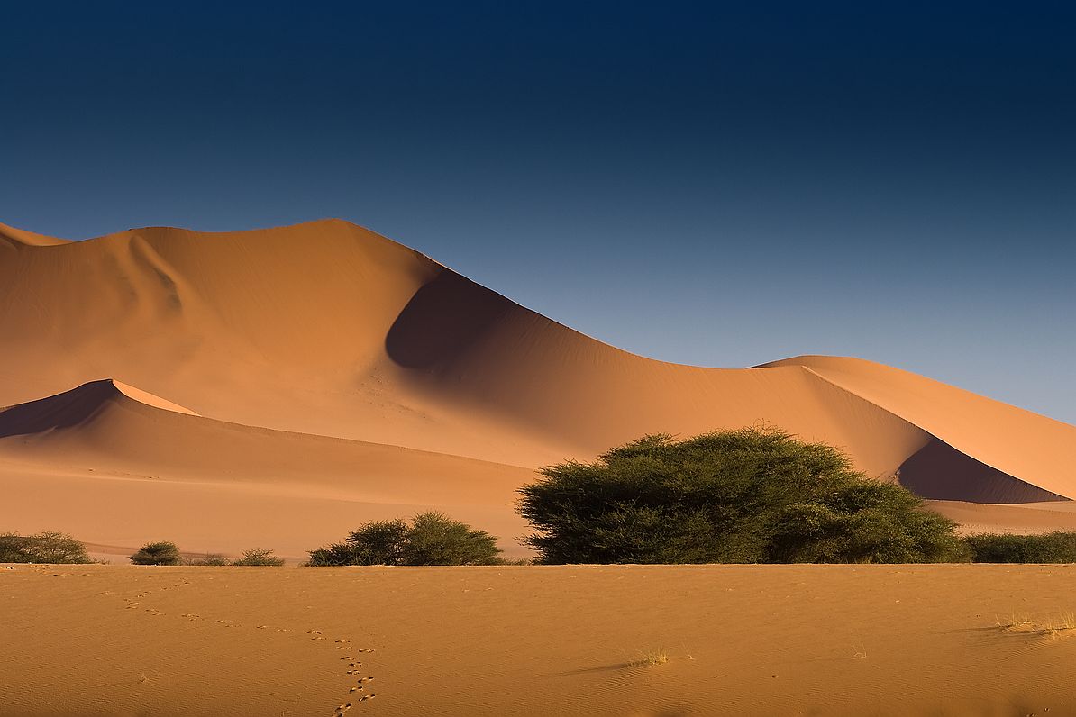 Erg Mehedjebat et les peintures du tassili Ti-m-Meskis.