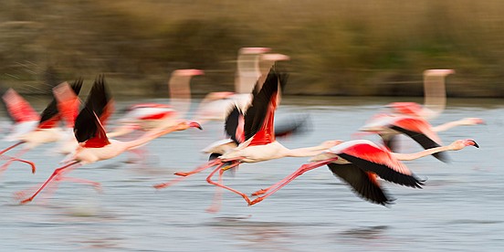 _MG_3663-3b2 _MG_3663-3b