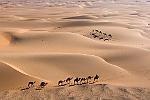 Sahara - Dunes et caravanes. 