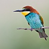 40dIMG_8784a