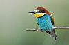 40dIMG_8785a