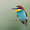 40dIMG_8786a