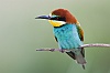 40dIMG_8787a