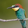 40dIMG_8822a