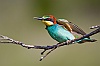 40dIMG_8833d