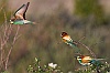 40dIMG_8887a