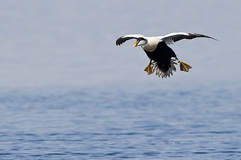 _MG_6599-Modifier-2a