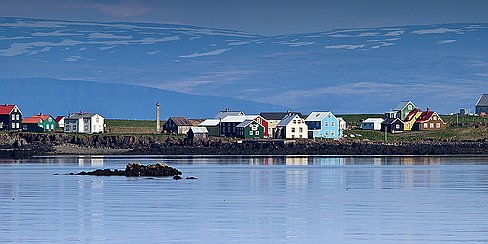 L'île de Flatey L'île de Flatey (l'île plate) se situe au milieu du Breidafjordur, début du séjour dans les fjords de l'ouest. la gent ailée n'est pas farouche sur cette île...