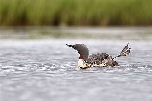 _MG_9557-Modifier Dernier préparatif ...
