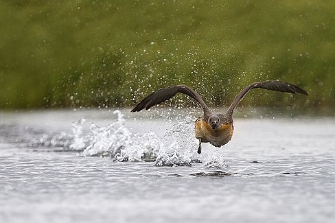 _MG_9577-Modifier-3b