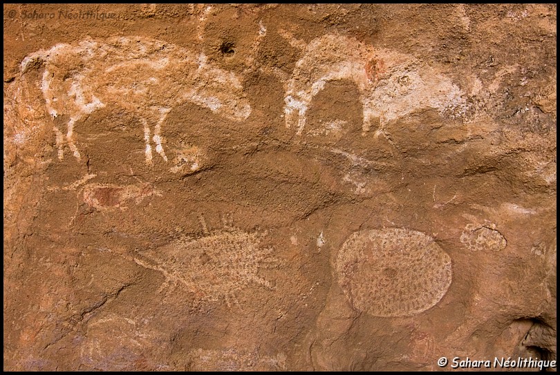 alidemma-11.jpg - Les peintures de cet abri peuvent être classées dans l'école des 'têtes rondes'. Le syle est une sorte de "schématisme expressif". Bien que les formes réelles soient reproduites, la ressemblance avec la réalité paraît un souci mineur pour l'artiste. La forme générale, vaguement naturaliste, suffisait pour la signification visée.