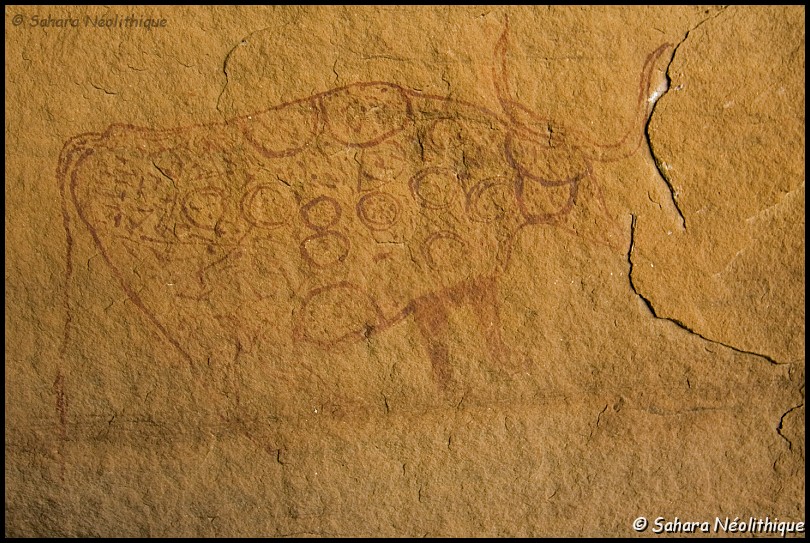 alidemma-19.jpg - Petite grotte à coté du grand abri. Belle peinture d'un bovidé à la robe décorée.