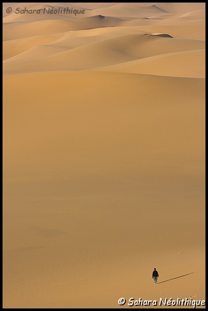alidemma-21.jpg - Seul dans les dunes ......