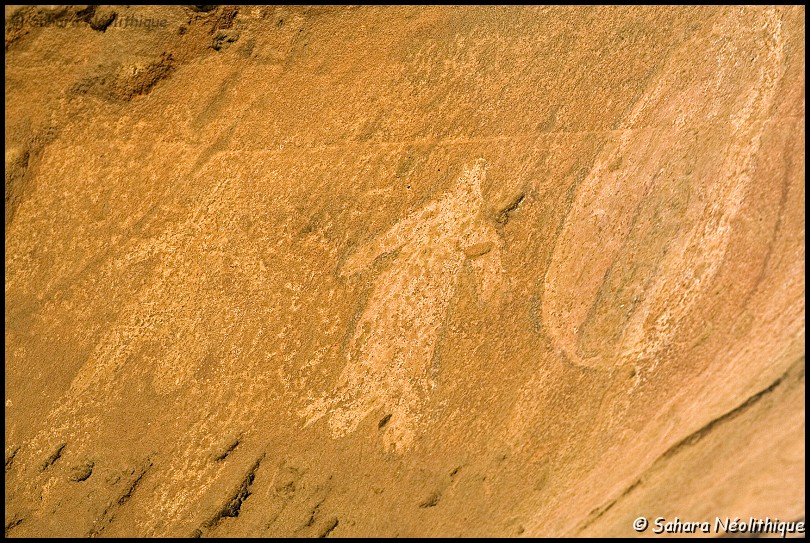 alidemma-27.jpg - Peinture "têtes rondes" anthropomorphes. Cette peinture montre une forte ressemblance avec le modèle des gravures "kel essuf". Il s'agit de représentations d'objets oblongs, munis d'appendices suggérant selon les cas des poissons, des reptiles ou des anthropomorphes. Ce faciès des "Kel essuf" est pour le moment limité à la région de la Tadrart.