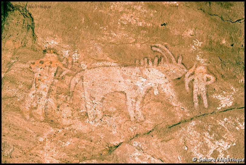 alidemma-29.jpg - Scène de chasse. La techique la plus caractèristique de ces peintures  est celle du contour sombre, généralement à l'ocre, très large, alors que la surface interne est remplie d'une peinture claire.  Celle-ci, une émulsion mal liée au support rocheux,  a souvent disparue, il ne reste donc qu'un dessin à simple contour épais.