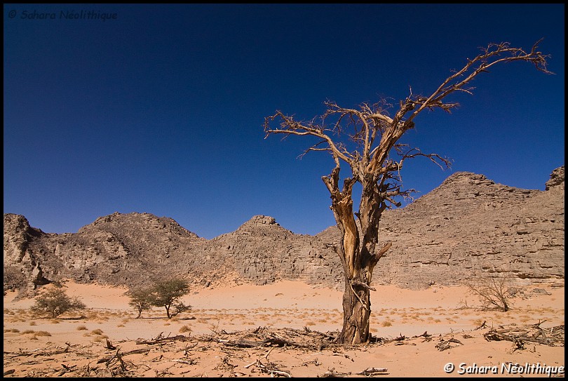 alidemma-5.jpg - Le flanc occidental de la Tadrart est entaillé de gorges et bordé par une série de cuvettes dans laquelle s'épandent les oueds.
