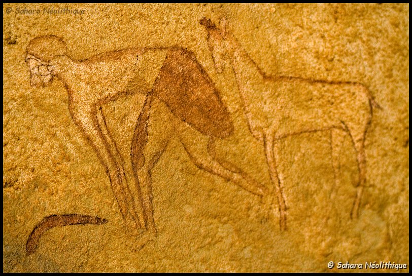 jabbaren-14.jpg - Le mouton est aussi présent sir les parois de Jabbaren. Cette scène représente un homme au corps penché associé à un bélier et une arme, un bâton de jet. Il pourrait s' agir d' un jeu ou d' un rituel guerrier.