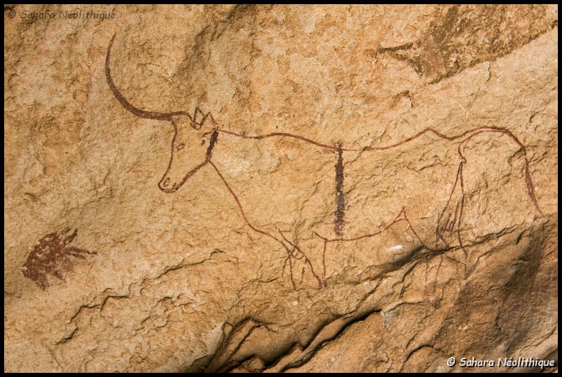 jabbaren-51.jpg - Une des plus belles figuration de bovin de Jabbaren. Cette vache unicorne (?) est peinte sur la voute d'un abri où l'on ne peut se tenir qu' accroupi.