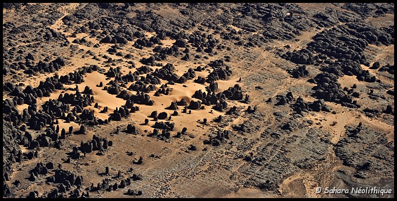 jabbaren-66.jpg - La "forêt de pierres" ....