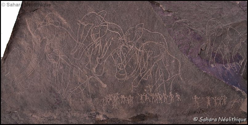 350d-IMG_2543a.jpg - In Djaren. Sur un grand rocher pyramidal, une fresque gravée montrant huit éléphants. Le dernier est en train de déféquer.