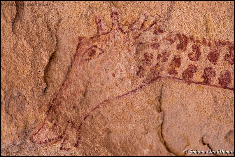 350d-IMG_2580a.jpg - Cette girafe est peinte dans le style d'Iheren Tahilahi. Ce style est surtout  caractérisé  une technique, le dessin au trait.