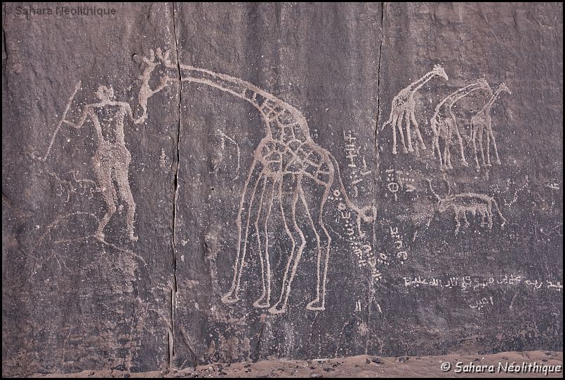 40d-IMG_3899a.jpg - In Djaren. Un homme à tête trilobée et armé d' une lance tient une girafe en longe. Cette représentation pose le problème d' une éventuelle domestication de cet animal . 
Des inscriptions de différentes patines et époques (dont une en arabe) sont associées. 
Le personnages tête trilobée est superposé à une gravure plus ancienne d' éléphant.
