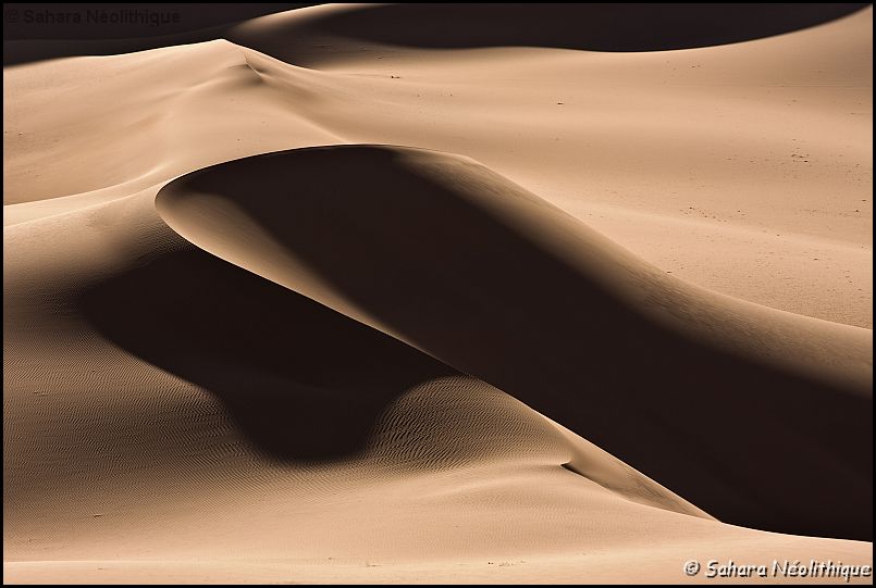 40d-IMG_3980a.jpg - Quand l'ombre et la lumière ......