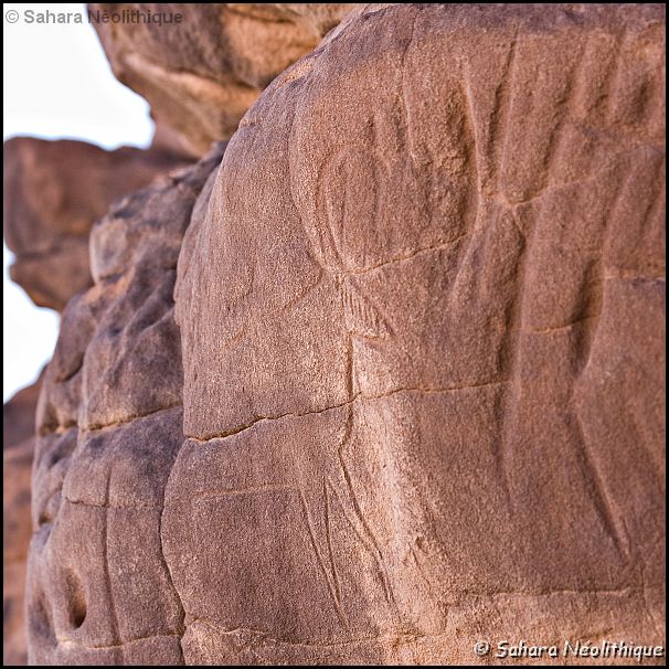 40d-IMG_4062a.jpg - Ouan Zawaten. Secteur de la grotte de Jean Claude. Une belle gazelle.