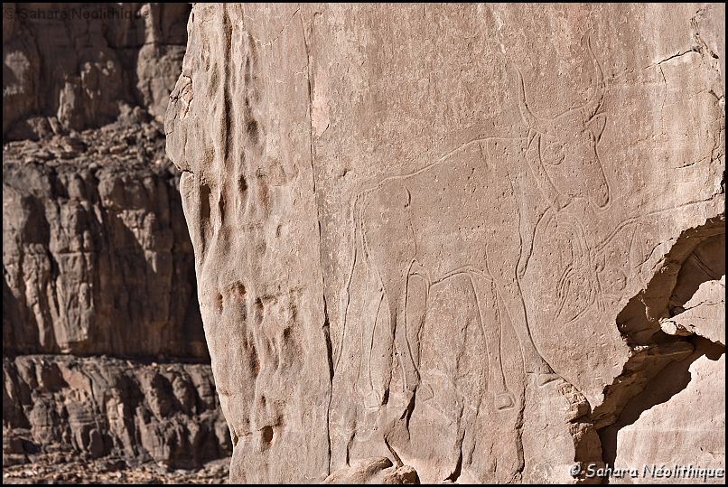 40d-IMG_4088a.jpg - Les fameuses gravures. La plus belle vache de la Tadrart : Ouan Zawaten.