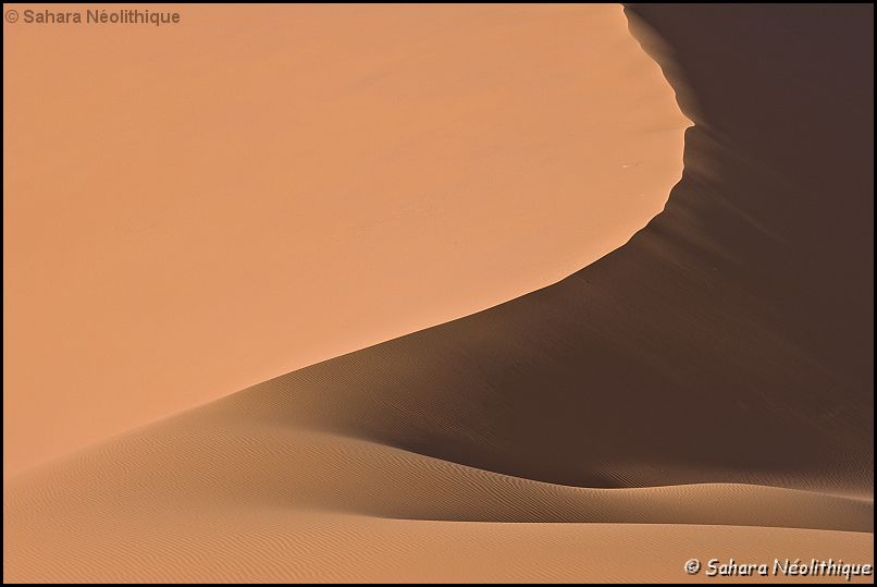 40d-IMG_4127a.jpg - Perfection des courbes ....