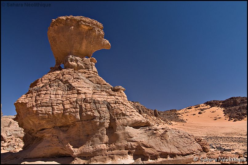 IMG_4183a.jpg - Ou bien comme le fameux hérisson : "Akenassi".