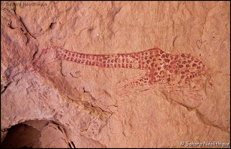 IMG_4294a.jpg - La Tadrart est surtout connue pour ces gravures, mais elle abrite aussi de superbes peintures. Ici le fameuse girafe couchée de l'oued In Djaren.