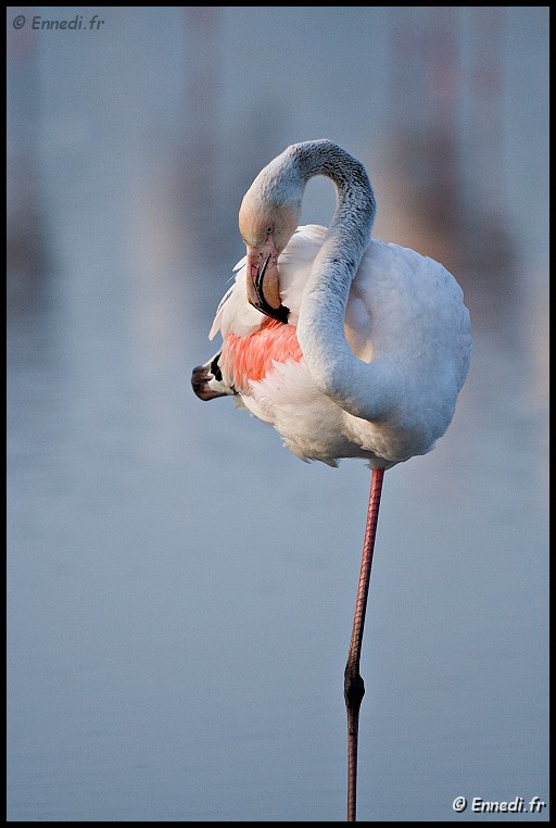 IMG_8462b.jpg - Equilibre.