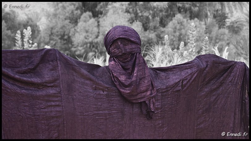 sebeiba-32.jpg - La phase tekamsin. Elle intervient lorsque les danseurs des deux camps (Zellouaz et El Mihan) déploient leurs tuniques, épaule contre épaule, dans une chaîne impressionnante. Le point culminant de la cérémonie est ainsi atteint puisqu'il s'agit d'une guerre symbolique où, pour vaincre l'adversaire, les hommes exhibent leur prestance, la qualité et la beauté du tissu.