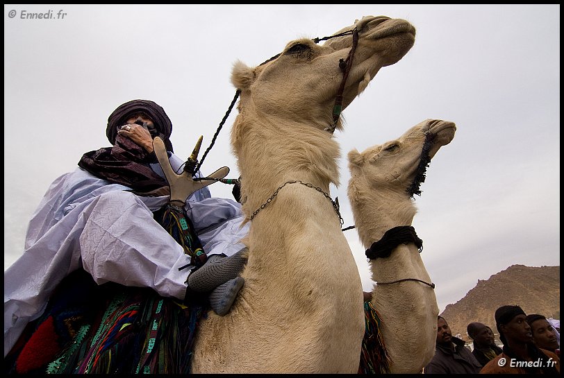 sebeiba-35.jpg - Parmi les spectateurs, hommes d'une tribu noble, les Kel Imnas. Ils assistent au spectacle sur leurs chameaux. A la fin de la cérémonie, ils donnent leur verdict en se dirigeant, toujours sur leur monture, vers le groupe qu'ils jugent vainqueur.