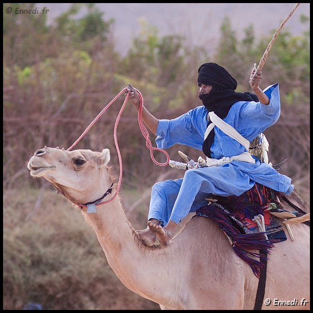 tazrouk-05.jpg - Le vainqueur .....