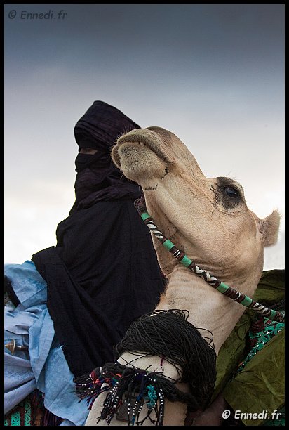 tazrouk-15.jpg - Le touareg et son méhari ....