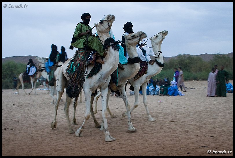 tazrouk-20.jpg - L'ilougan, ou la danse des chameaux .... Traditionnellement au cours de l'Ilougan les femmes chantent et jouent du tam-tam tandis que les hommes sur leurs méharis tournent autour d'elles au pas cadencé. Deux groupes partent simultanément au petit trot de cahque côté du parcours pour se croiser au milieu avant d'être relayés par deux autres groupes.