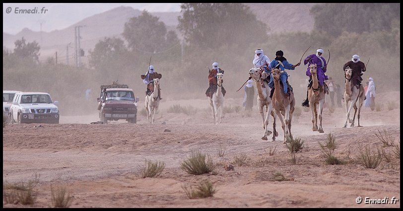 tazrouk-21.jpg - Les bêtes sont lancées à fond de train dans un mur de poussière qui doit autant à la foulée des chameaux qu'aux 4x4 qui "accompagnent" la course ....
