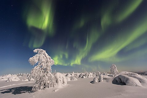 Le Nord Les espaces sauvages du Nord - De l'Islande à la Scandinavie - - La faune, l'hiver arctique, la nuit polaire et la magie...