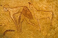 Le guerrier et le bélier  Le mouton est aussi présent sur les parois de Jabbaren. Cette scène représente un homme au corps penché associé àun bélier et une arme, un bâton de jet. Il pourrait s' agir d' un jeu ou d' un rituel guerrier. : djanet sebeiba jabbaren