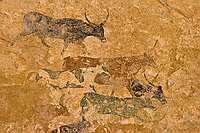 Les boeufs polychromes  Les boeufs polychromes. Des bovins de toutes les couleurs ... Ce troupeau est la peinture la plus richement colorée du tassili. Une peitite partie seulement est encore visible. L'ensemble devait comporter à l'origine au moins une quarantaine de bovidés conduit par leur pâtre. : djanet sebeiba jabbaren