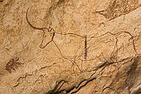 Vache unicorne  Une des plus belles figuration de bovin de Jabbaren. Cette vache unicorne (?) est peinte sur la voute d'un abri où l'on ne peut se tenir qu' accroupi. : djanet sebeiba jabbaren